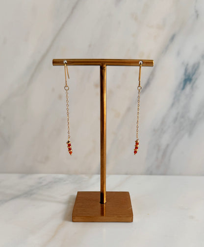 Donna Stainless Steel Earrings